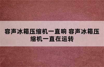 容声冰箱压缩机一直响 容声冰箱压缩机一直在运转